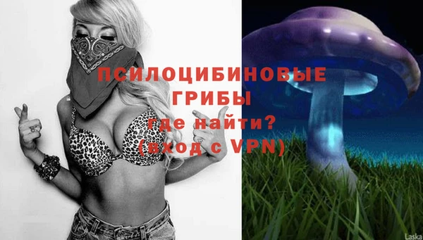 круглые Осташков
