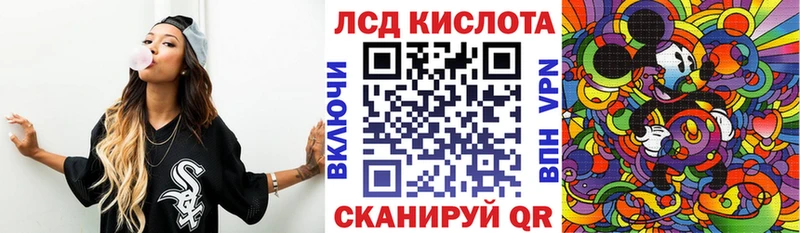 darknet клад  Королёв  Марки 25I-NBOMe 1,8мг 