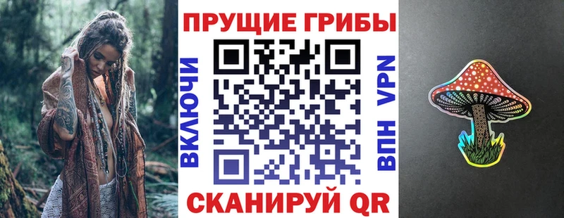 omg ТОР Королёв Псилоцибиновые грибы Psilocybine cubensis